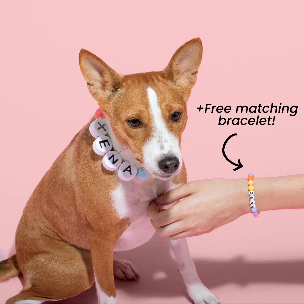 Dog/Cat Collar + Free Matching Bracelet