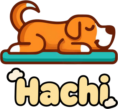 Hachi Store