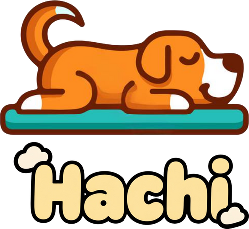 Hachi Store