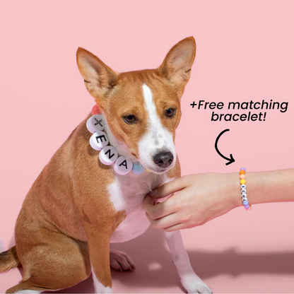 Dog/Cat Collar + Free Matching Bracelet